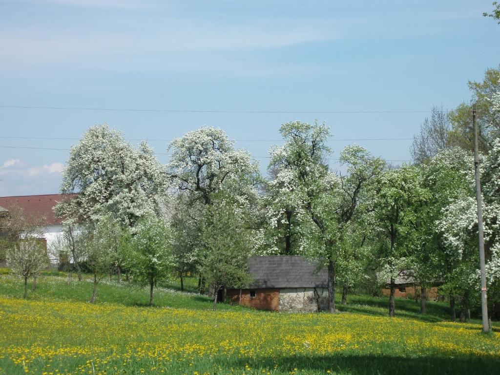 Gasthof Zur Linde Neuhofen an der Ybbs Εξωτερικό φωτογραφία