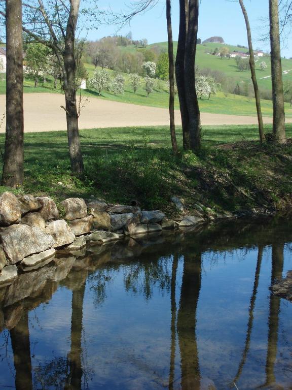 Gasthof Zur Linde Neuhofen an der Ybbs Εξωτερικό φωτογραφία