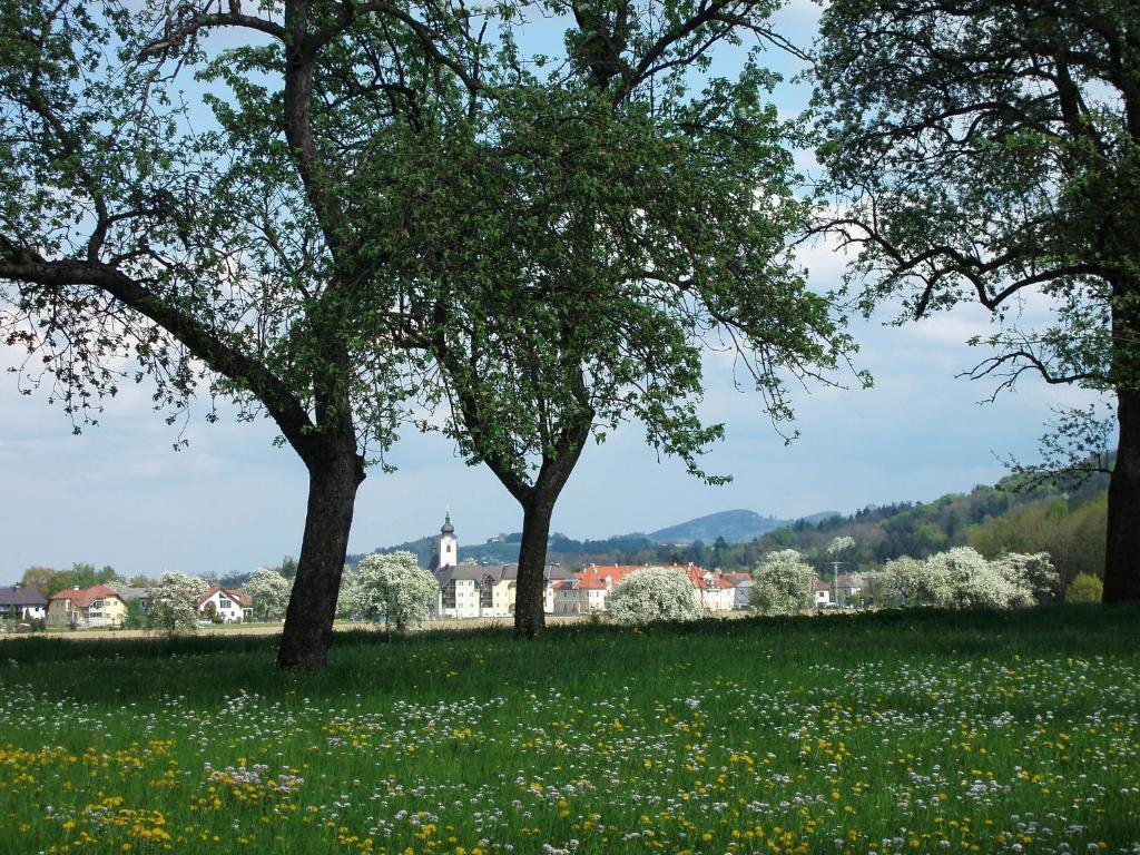 Gasthof Zur Linde Neuhofen an der Ybbs Εξωτερικό φωτογραφία