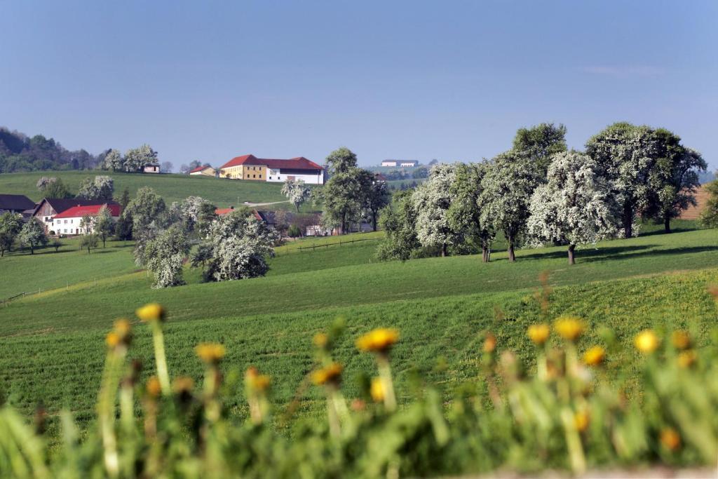 Gasthof Zur Linde Neuhofen an der Ybbs Εξωτερικό φωτογραφία